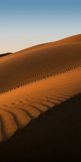 ng������Ϸ��(�й���)�ٷ���վ