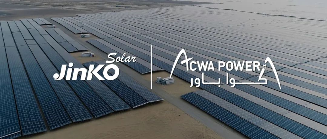 ng������Ϸ��(�й���)�ٷ���վ